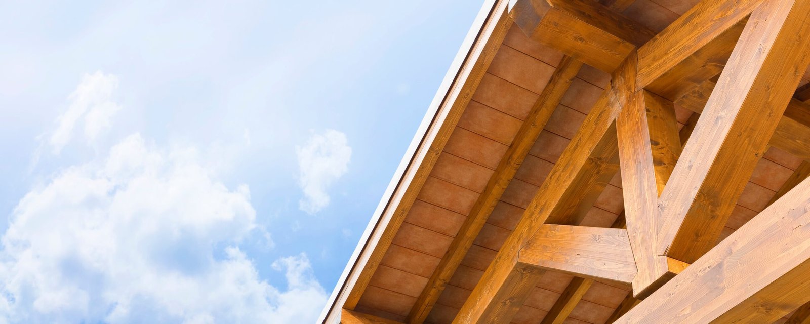 ADU Construction Illustration